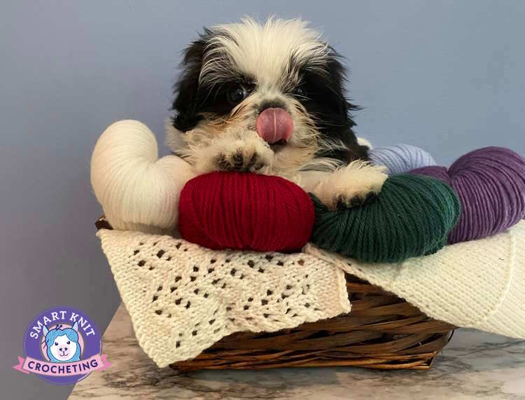 A young Shih Tzu puppy is sitting on a basket of yarn and swatches