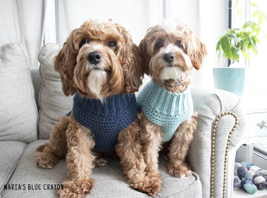 Crochet Dog Sweater Free Pattern
