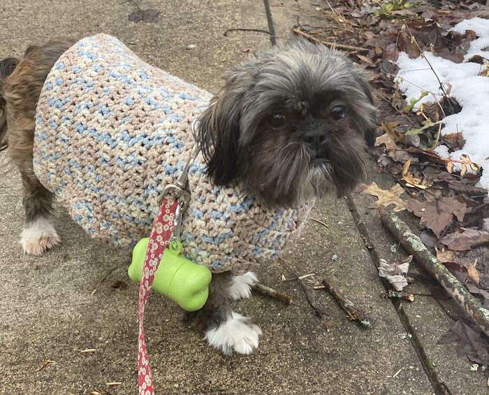 Everyday crochet dog sweater