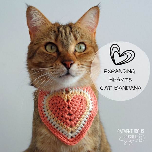 Expanding Heart Bandana worn by a cat by Charlotte Gillbanks