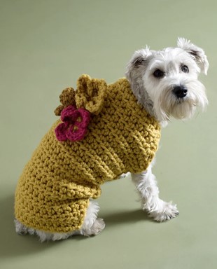 Flower garden crochet sweater free pattern