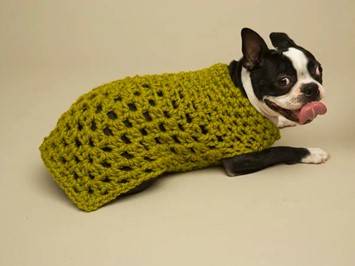 Granny square crochet dog sweater free pattern