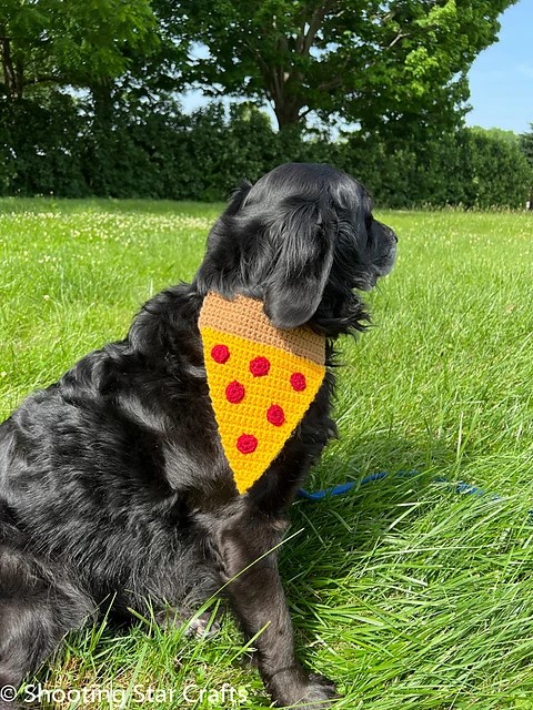 Pizza Bandana for Dogs by Cari Lam Pizza Bandana for Dogs by Cari Lam