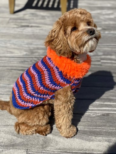 Pluto-dog-sweater-free-pattern