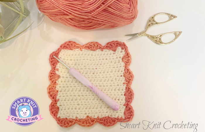 Free Easy Crochet Shell Stitch Dishcloth Border Crochet shell stitch border on a double crochet stitch swatch.