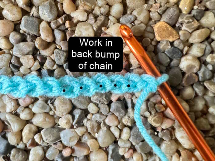 Shows where the back bumps of a crochet chain are located Shows where the back bumps of a crochet chain are located