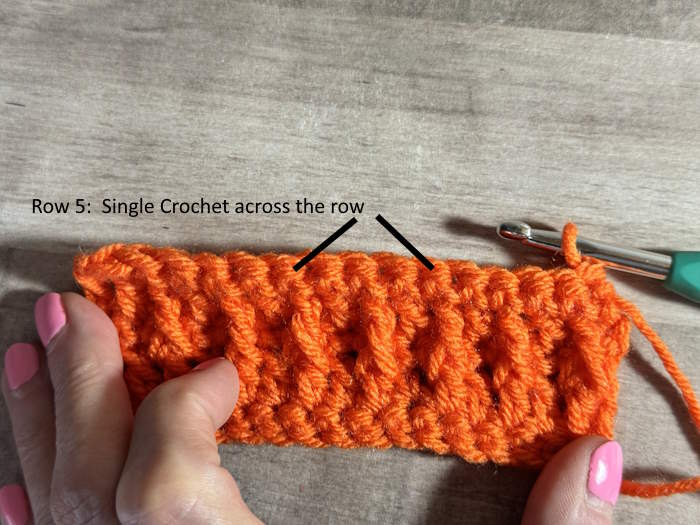 Row five of the Crochet Alpine Stitch Row five of the Crochet Alpine Stitch