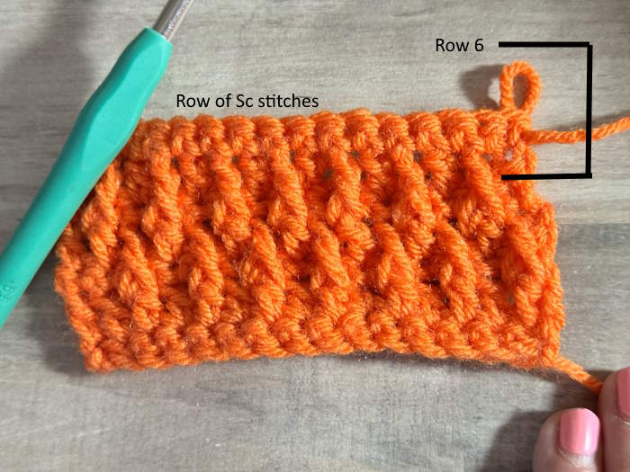 Row 6 of the Crochet Alpine Stitch Row 6 of the Crochet Alpine Stitch