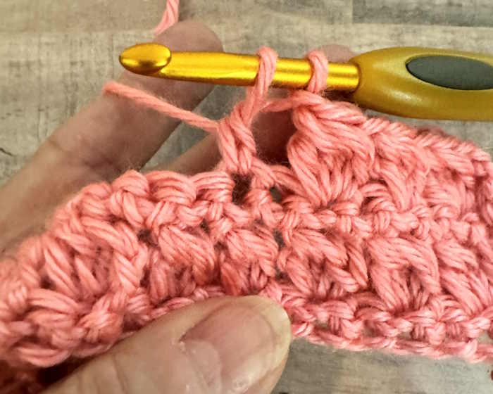 Step-by-step tutorial on how to make the bobble stitch:  2 loops left on hook.