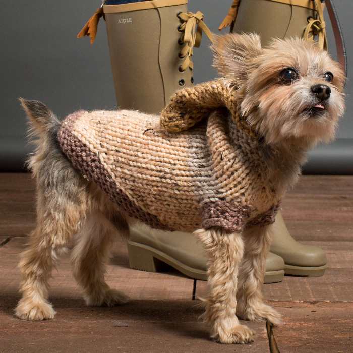 10+ Free Dog Sweater Knitting Patterns