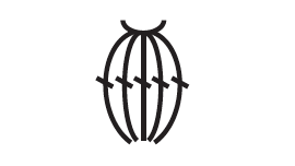 5 double crochet cluster stitch