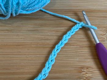 2.  Work into the fourth chain from the hook.  Make One Double Crochet Stitch
