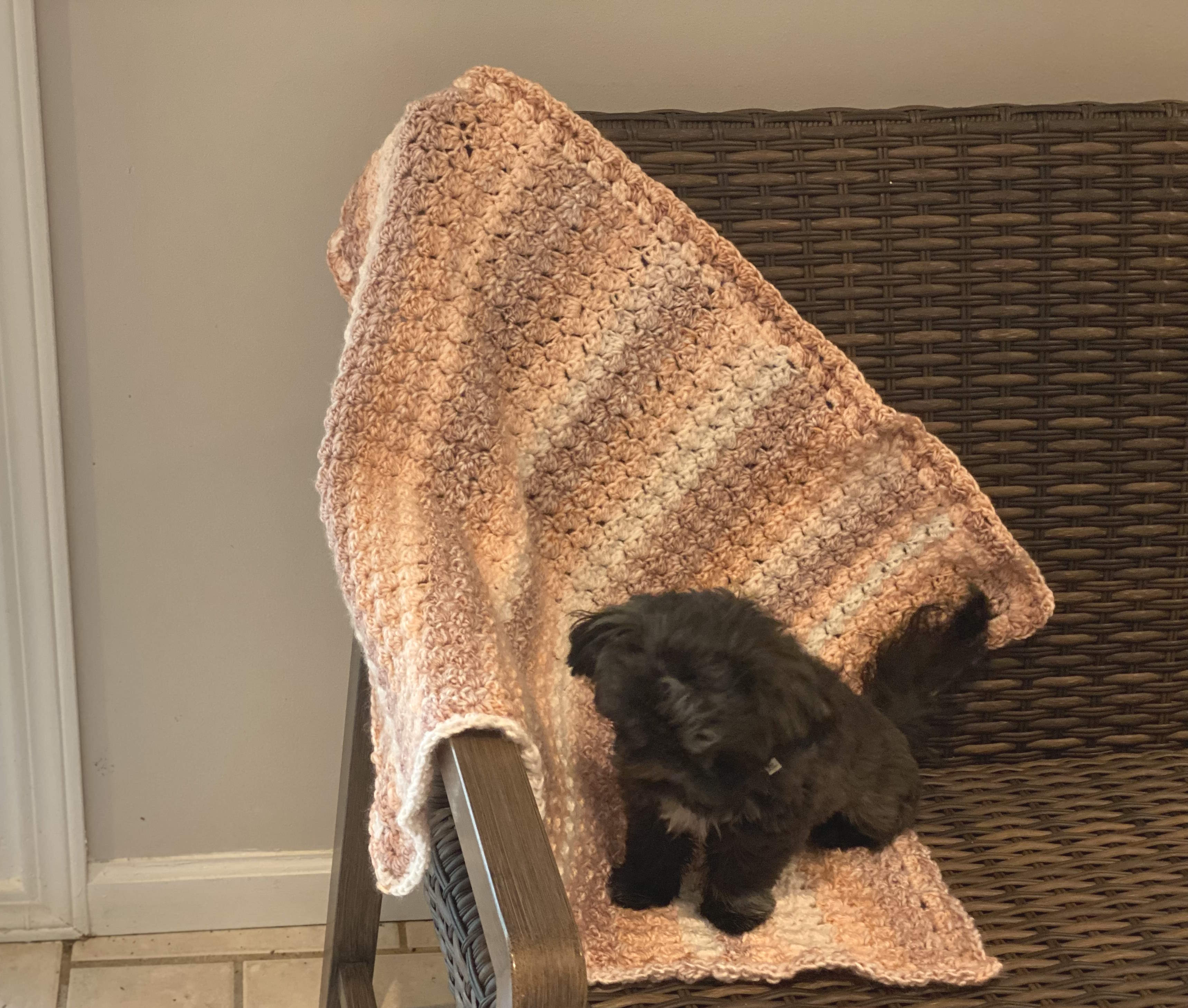 A dog blanket made with the crochet sedge stitch with small black Shih Tzu dog sitting on top.
