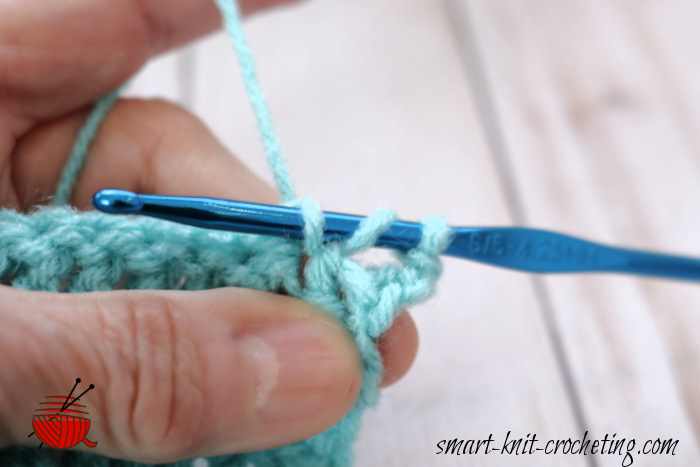 Yarn over, pull up a loop. You will have three loops on your hook.