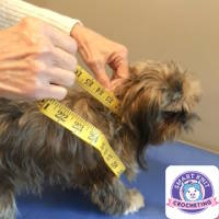 Thumbnail link to free dog sweater patterns page