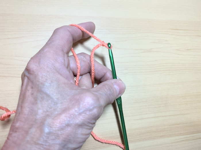 Holding the hook and yarn in hand.