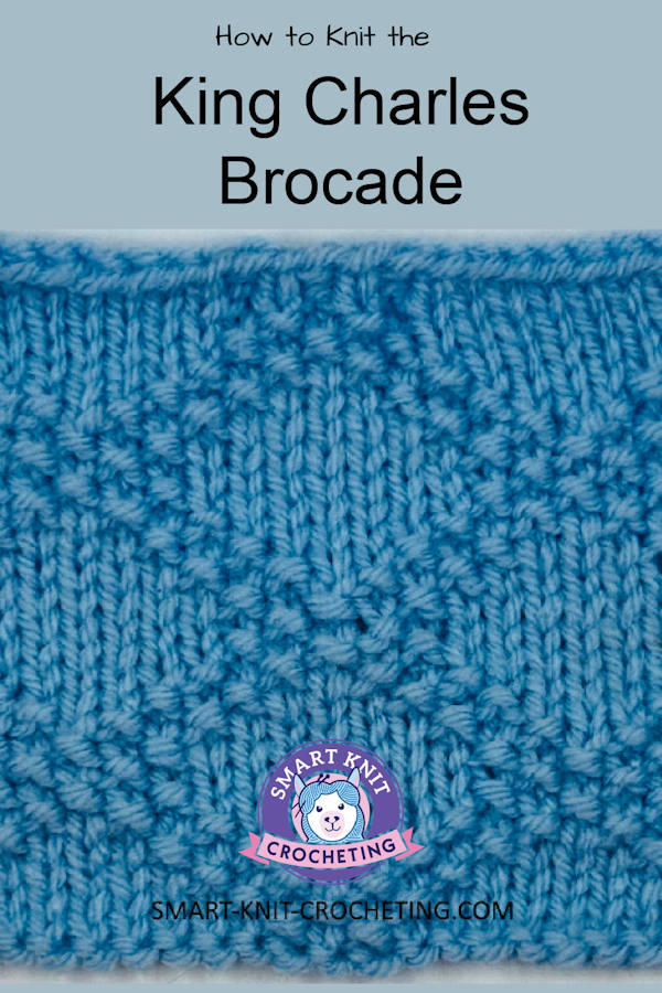 King Charles Brocade Stitch Pattern worked into a Pin Image