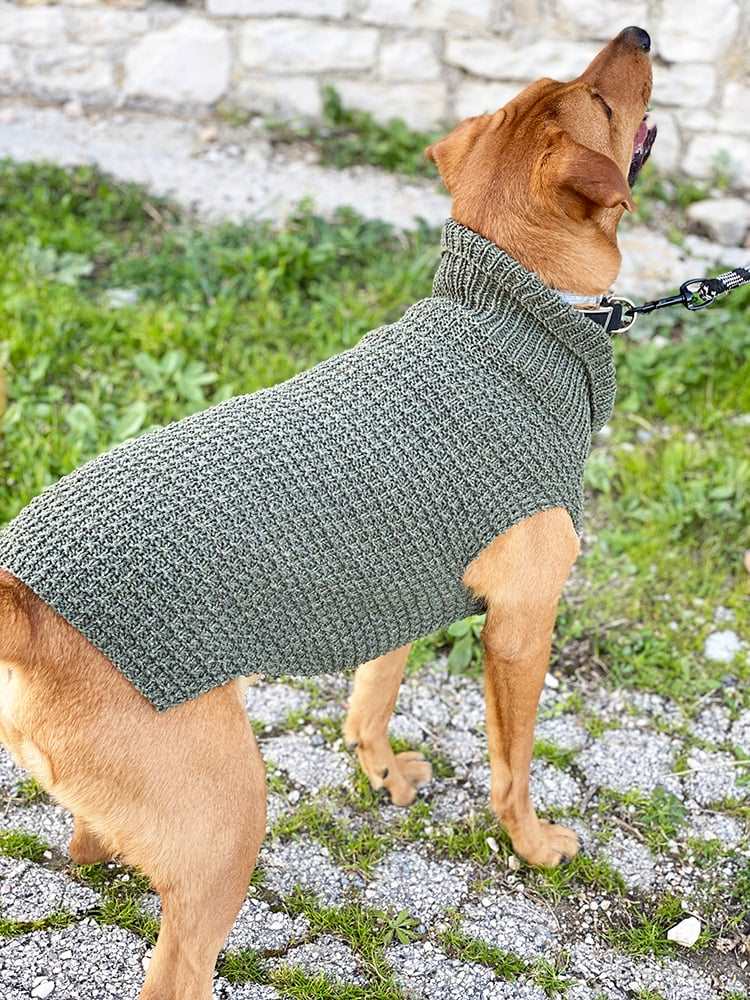 Medium Dog Pullover, Knitted Dog Sweater