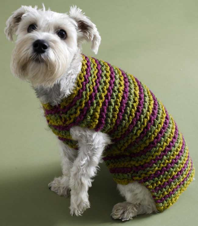 Knit Dog Sweater Pattern: 6 Free Beginner Friendly Knit Dog Sweaters
