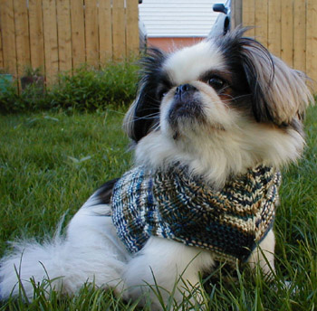 Another dog knit sweater worked flat and then seamed Another dog knit sweater worked flat and then seamed