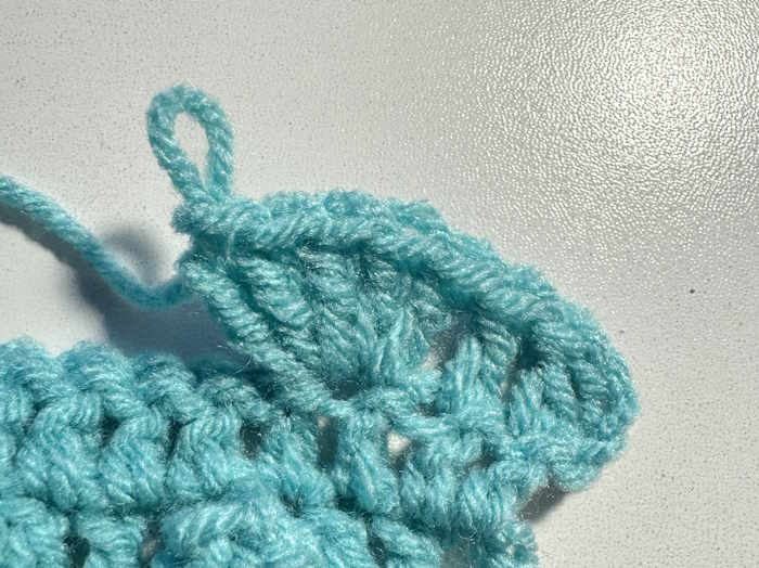 Pull up the last loop when making the crochet popcorn stitch.