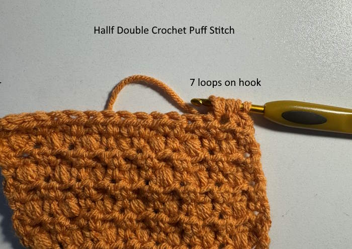 There are 7 loops on the hook as part of completing the half double crochet puff stitch  There are 7 loops on the hook as part of completing the half double crochet puff stitch