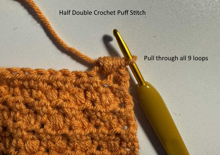 Half double crochet puff stitch, Pull through all 9 loops on the hook. Half double crochet puff stitch, Pull through all 9 loops on the hook.