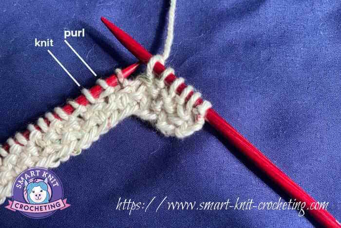 The knitted seed stitch shown on needles with directions to read the purl and knit stitches The knitted seed stitch shown on needles with directions to read the purl and knit stitches