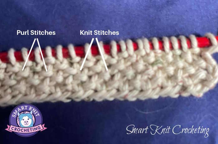 The knitted seed stitch is still on knitting needles and arrows point to the purl and knit stitches The knitted seed stitch is still on knitting needles and arrows point to the purl and knit stitches