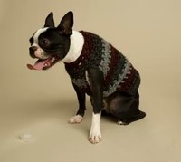 Striped Dog Sweater Free Pattern