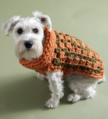 Urban Granny Square Dog Sweater Free Pattern