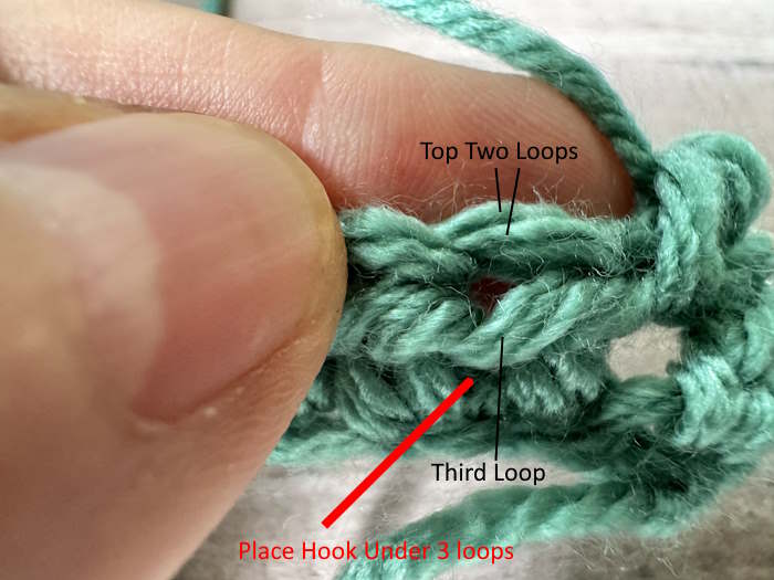 One row of half double crochet  showing where to insert the hook.