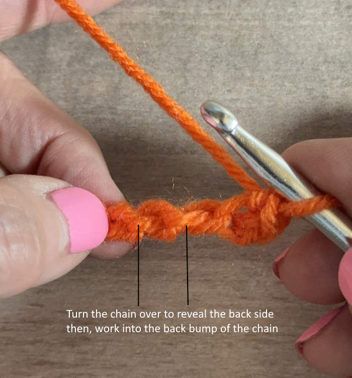 Demonstrating where to insert the hook when working in the back bump of a crochet chain. Demonstrating where to insert the hook when working in the back bump of a crochet chain.